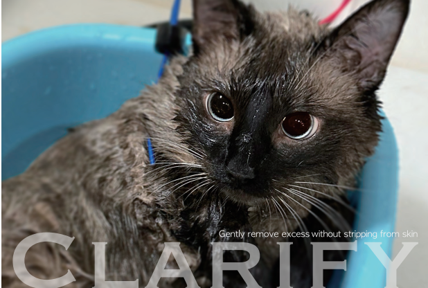 Mr. Suzuki's Sake Shampoo for Cats