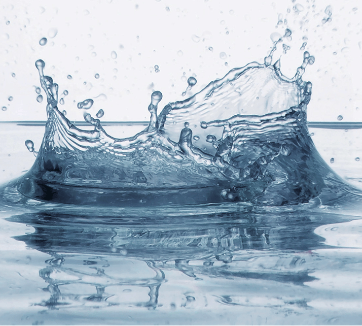 Bye-Bye, Bubbles. Why I Quit Suds for My Dog’s Skin.