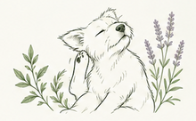 Itch Management